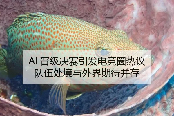 AL晋级决赛引发电竞圈热议 队伍处境与外界期待并存